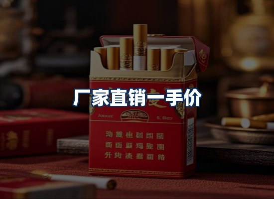 专业团队办公环境